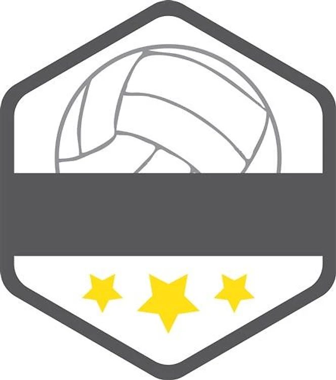 Volleyball Logo
