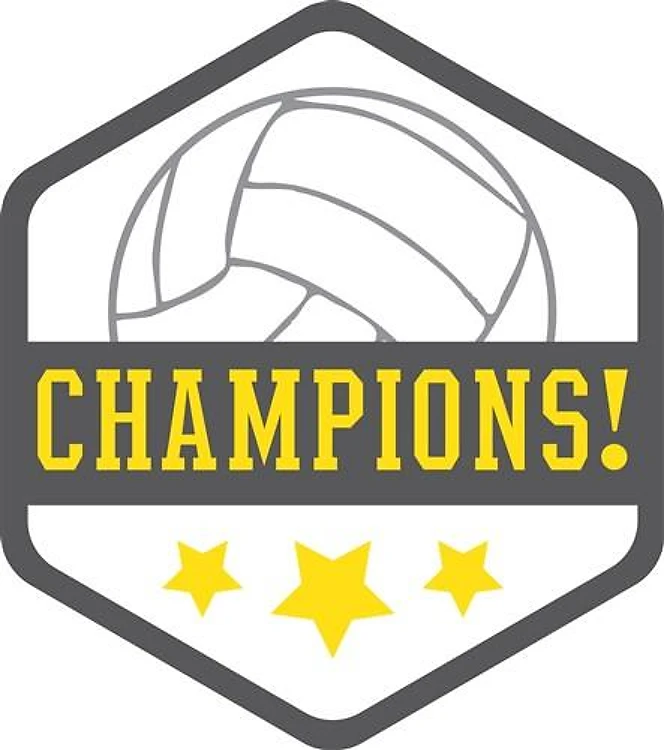 Volleyball Champions