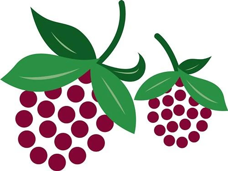 Raspberries