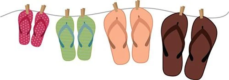 Flip Flops