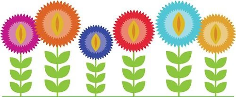 Colorful Flowers