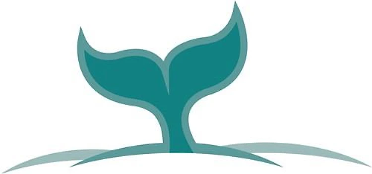 Whale Tail