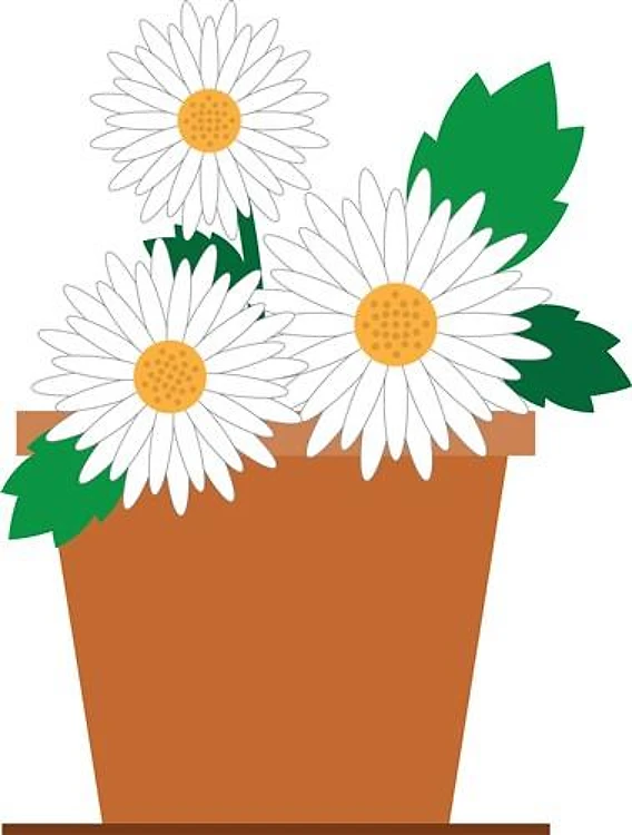 Daisy Pot