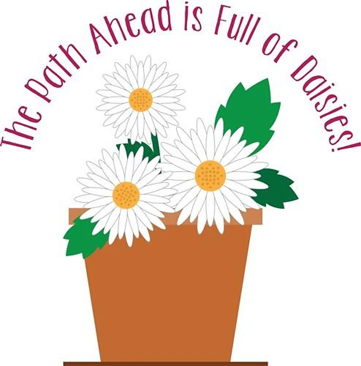 Full Of Daisies