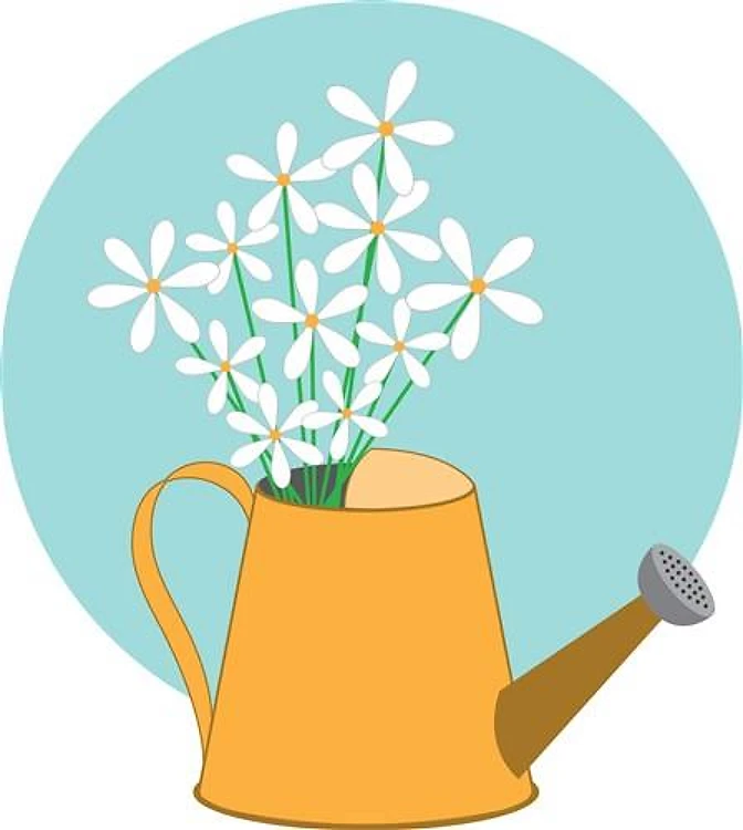 Water Can Flowers