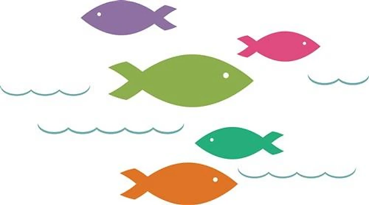 Colorufl Fish