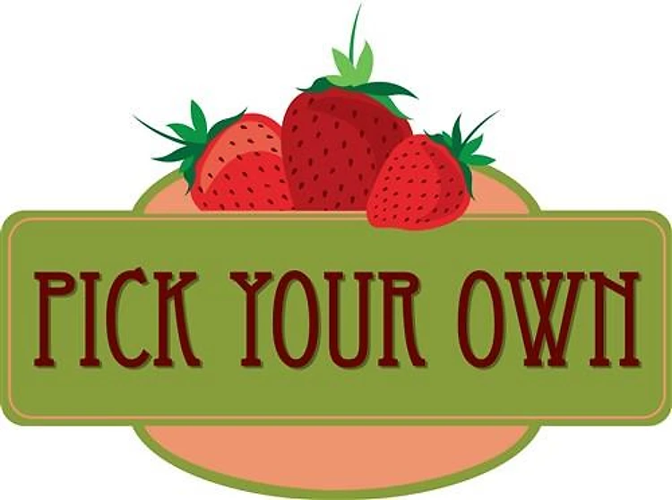 Pick Your Own