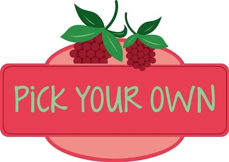Pick Your Own