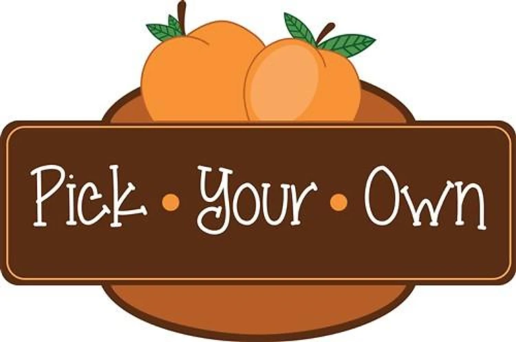 Pick Your Own