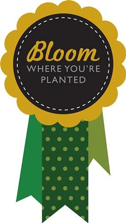 Bloom Where Planted