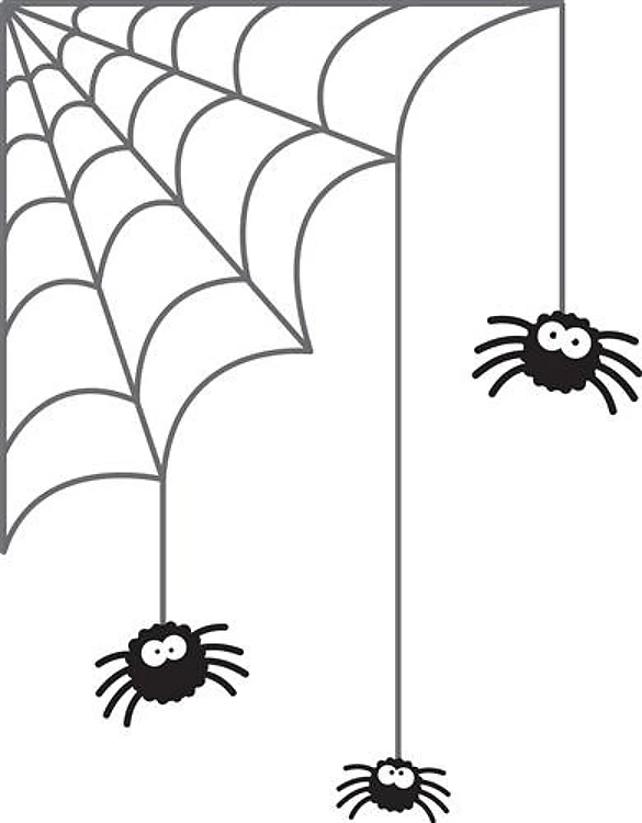 Spiders Web