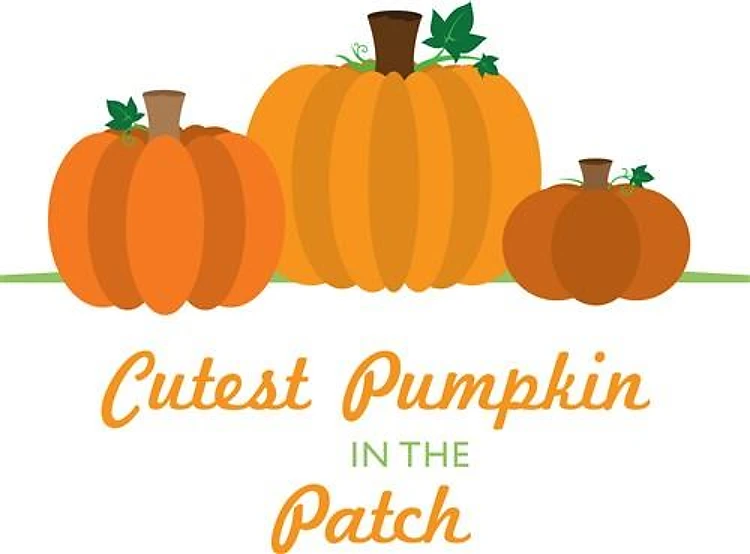 Cutest Pumpkin