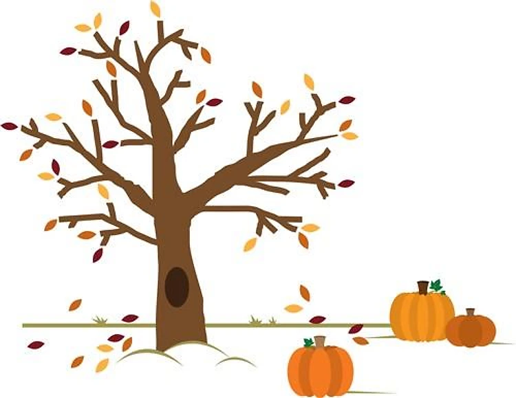Fall Pumpkins