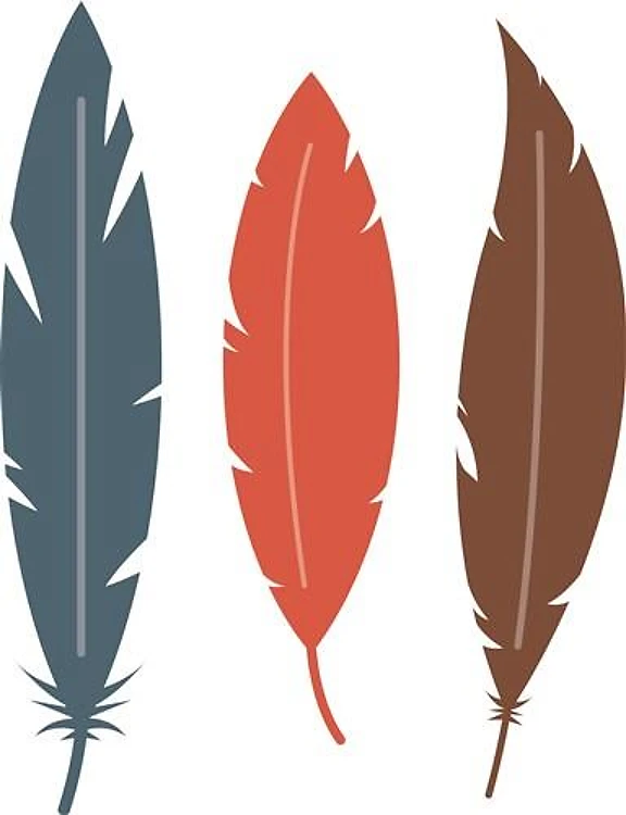 Bird Feathers