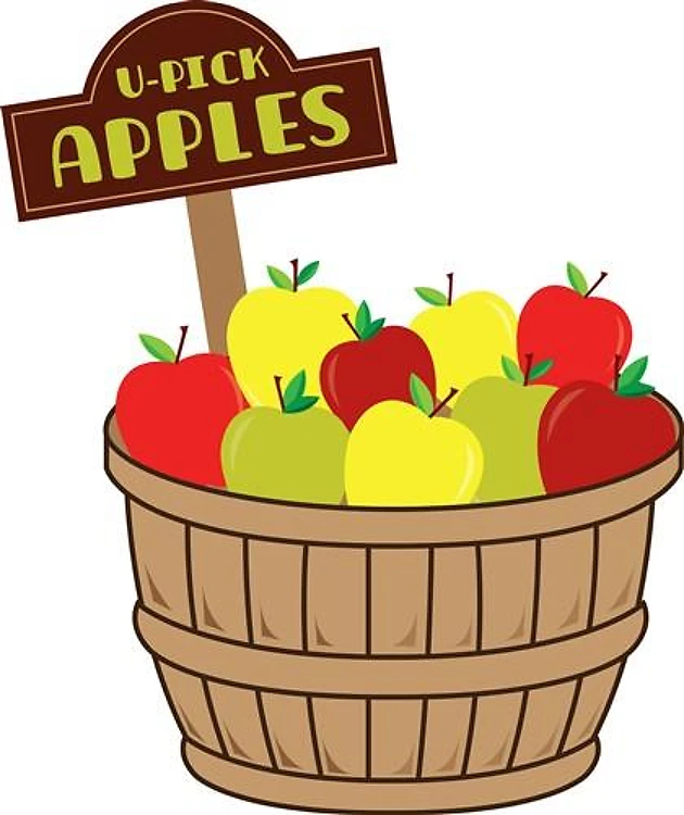 U-Pick Apples