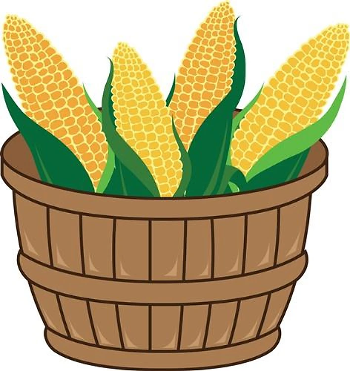 Basket Of Corn