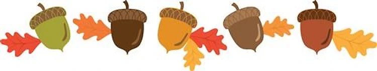 Acorn Border