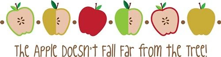 Apple Doesnt Fall