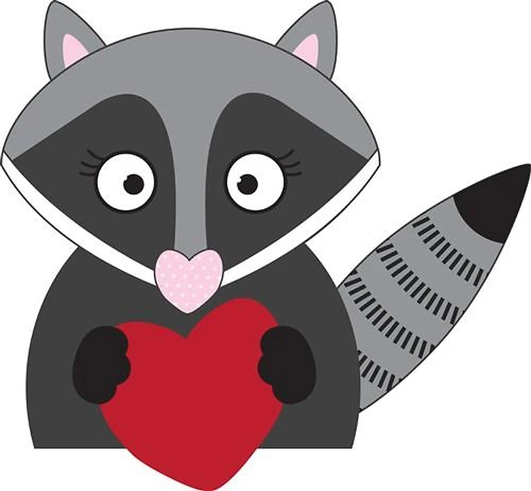 Raccoon Love
