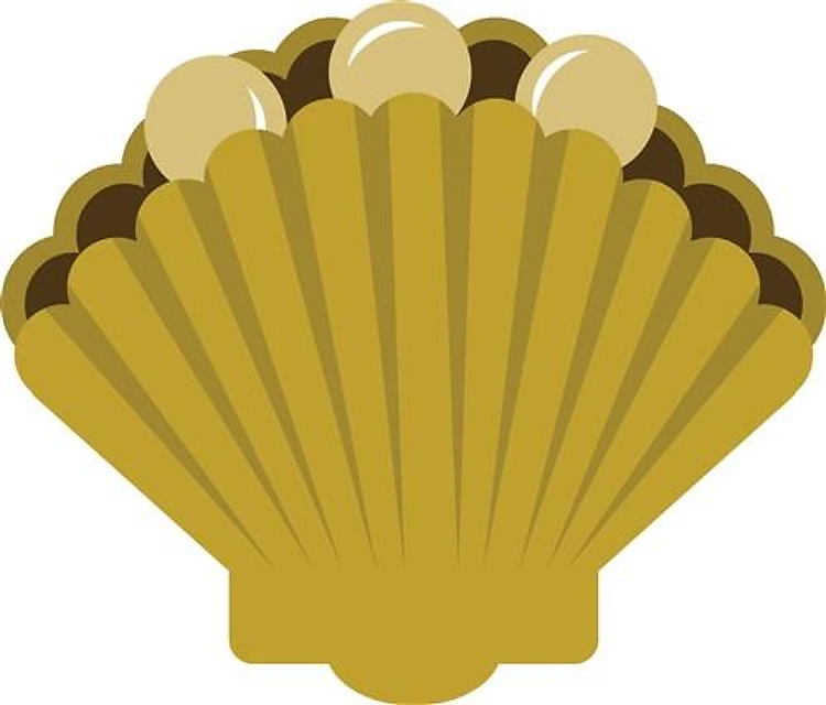 Clam Shell Pearls