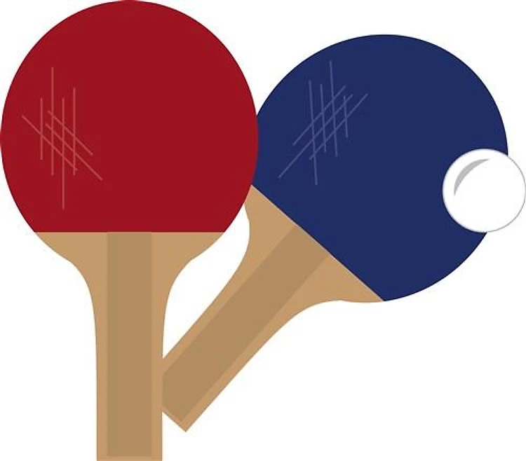 Ping Pong Paddles