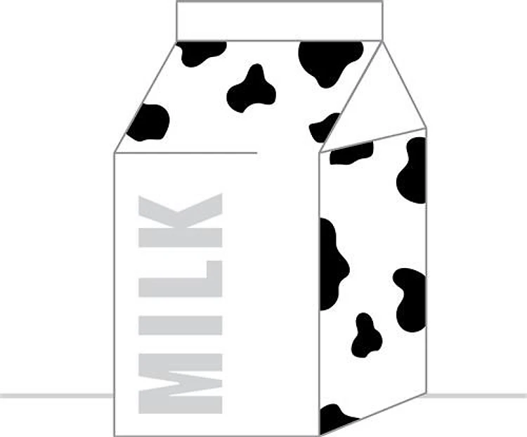Milk Carton