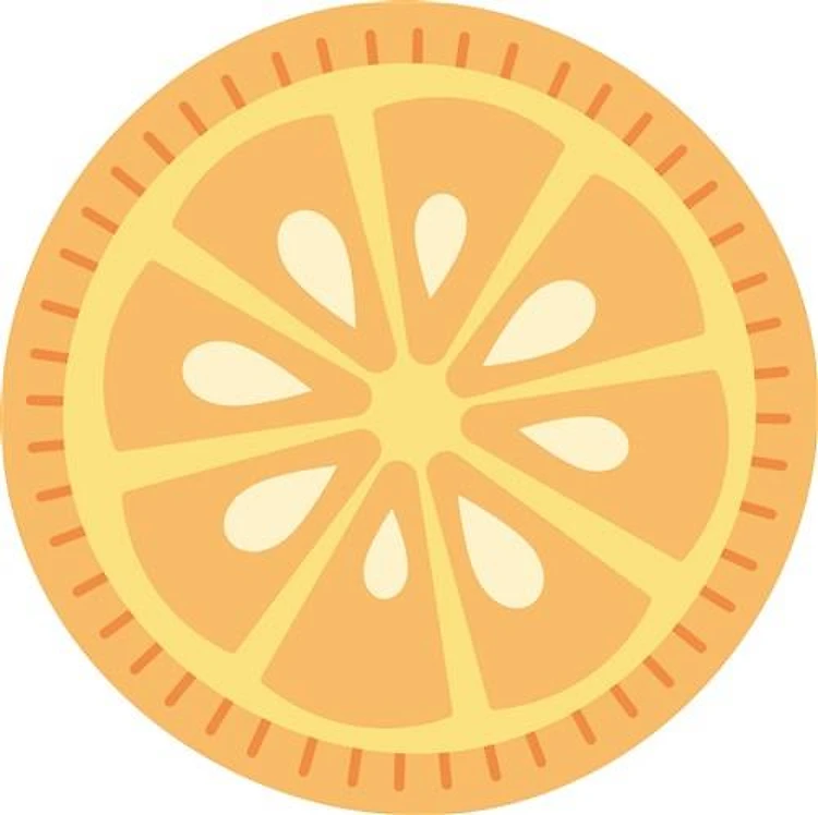 Orange Slice