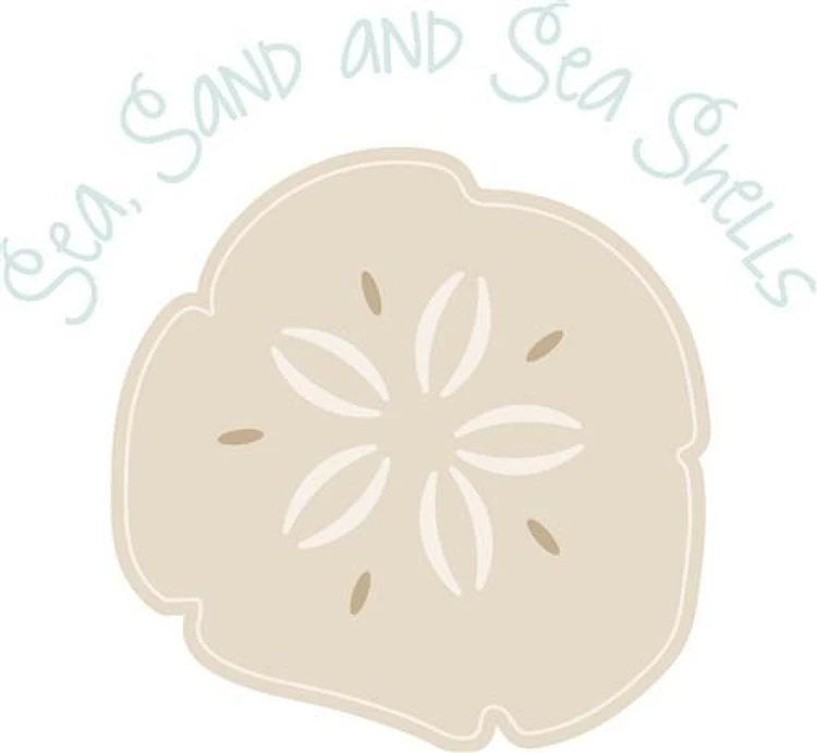 Sand & Sea Shells