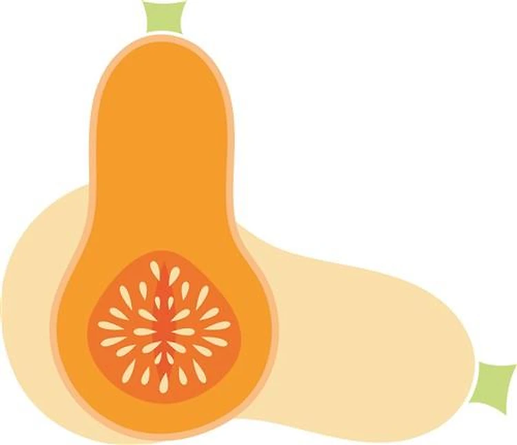 Butternut Squash