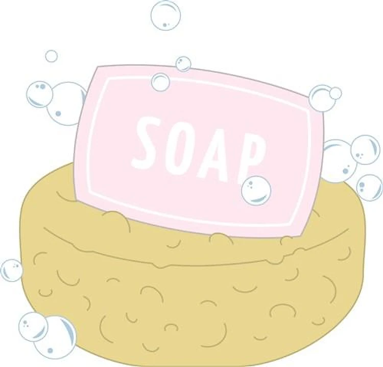 Soap Sponge