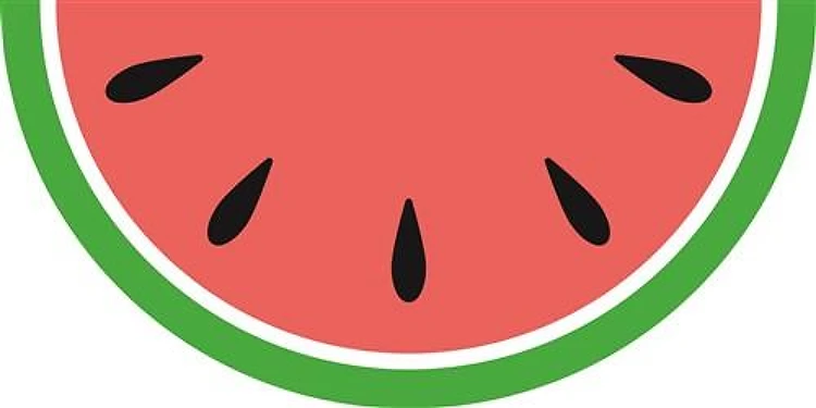 Watermelon Slice
