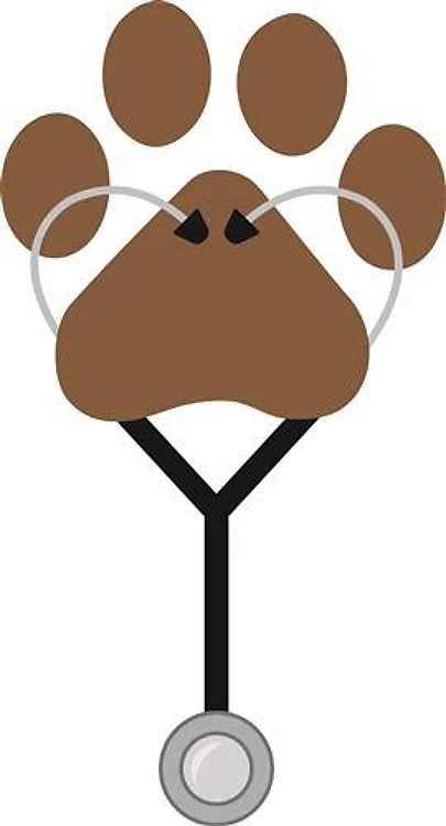 Vet Stethescope