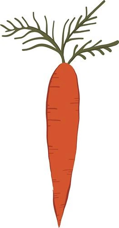 Carrot