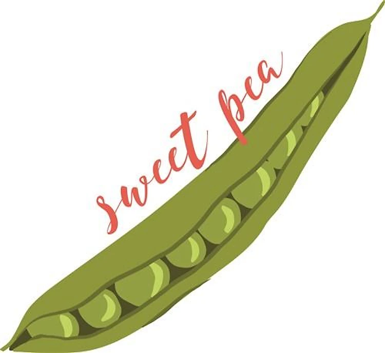 Sweet Pea