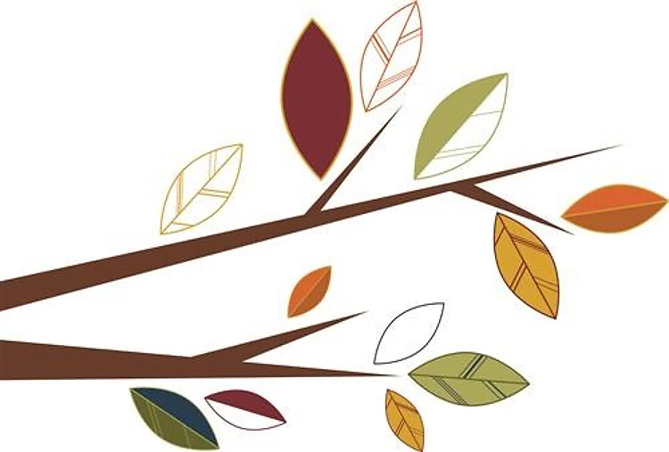 Fall Branch