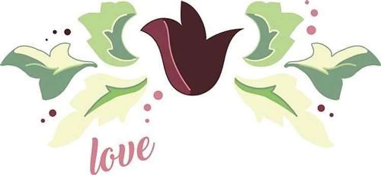 Love Tulip