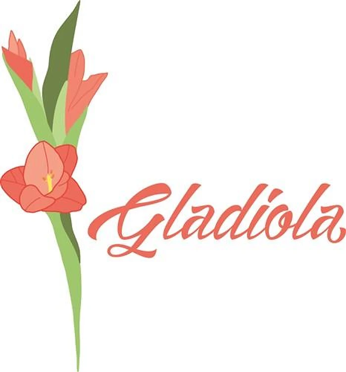 Gladiola