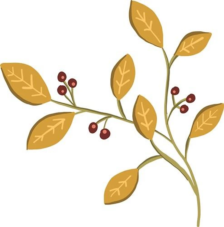 Berry Branch