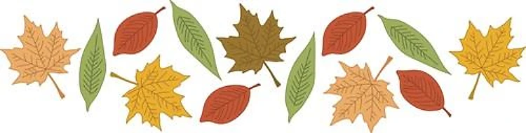 Fall Leaves