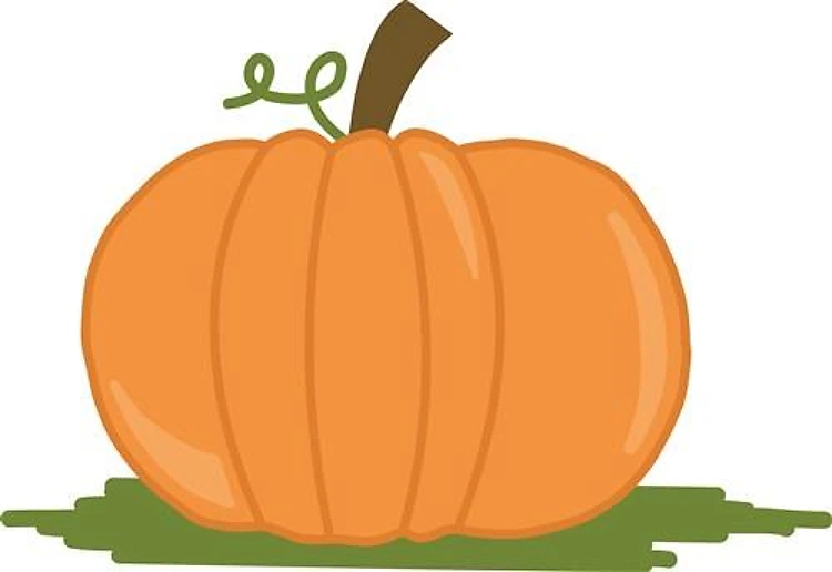 Fall Pumpkin