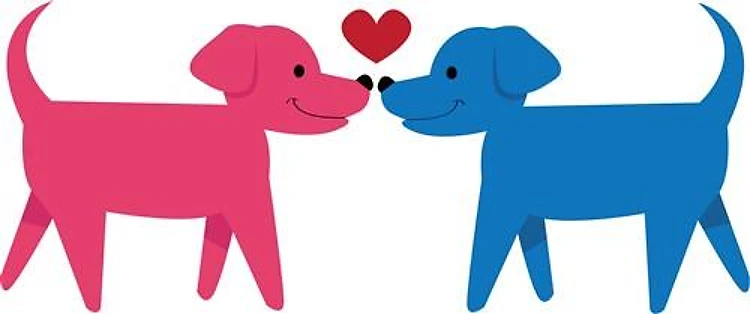 Puppy Love