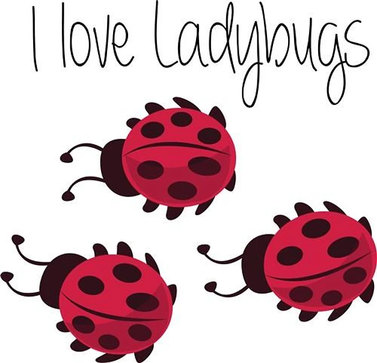 I Love Ladybugs