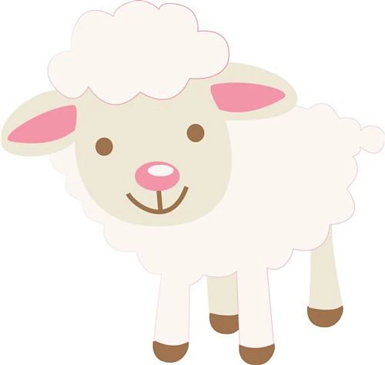 Cute Lamb