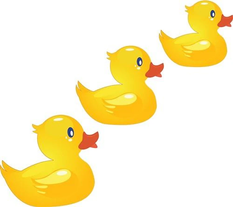Cute Ducklings