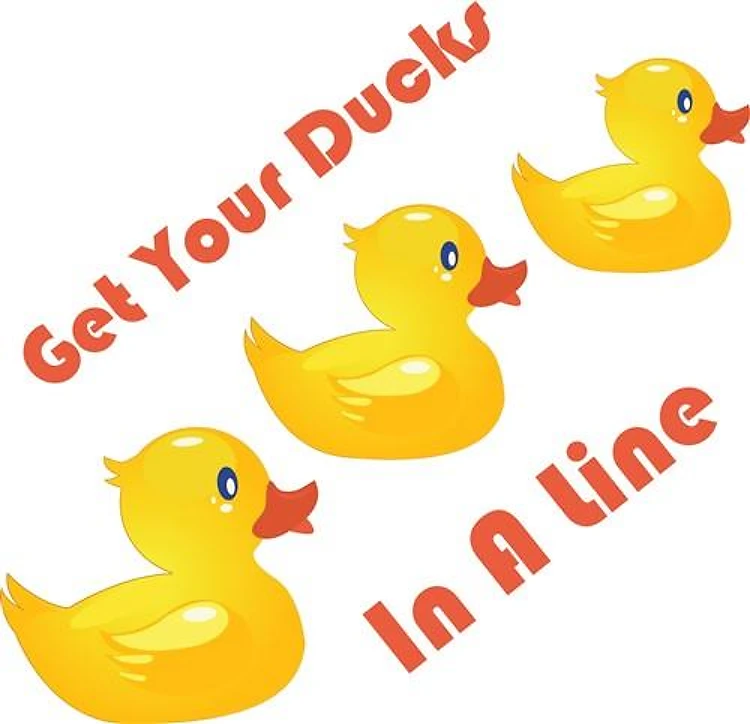 Ducklings In Line