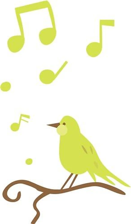 Melody Of Birds
