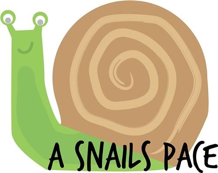 At Snails Pace
