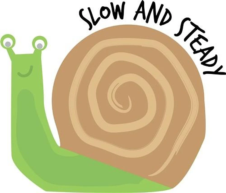 Slow & Steady
