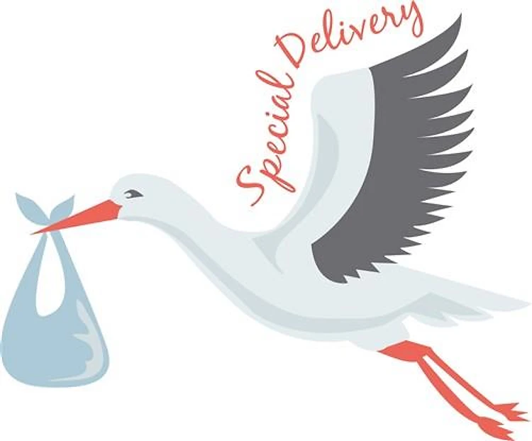 Special Delivery