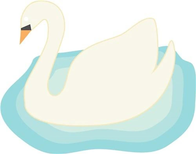 Elegant Swan
